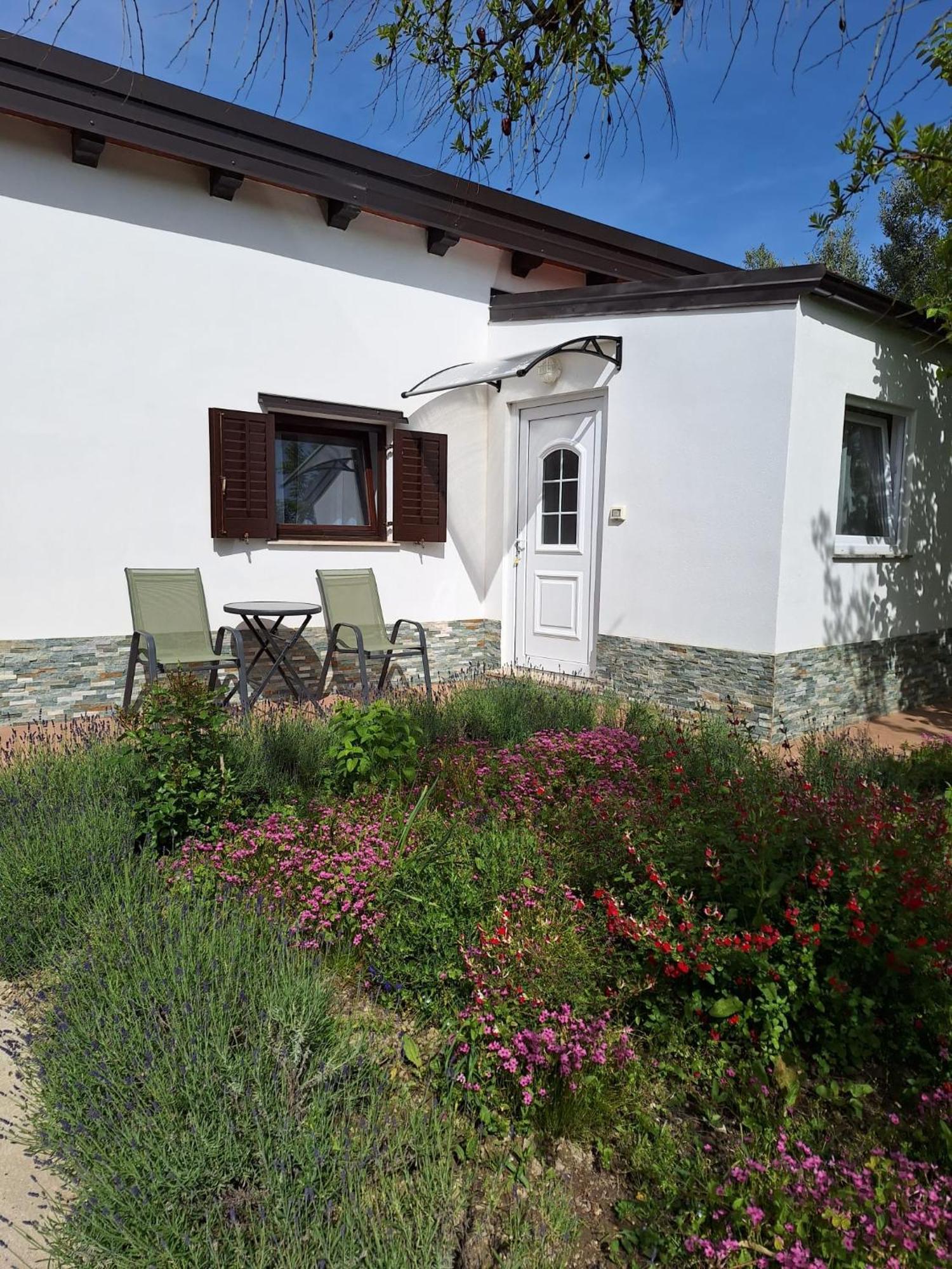 Apartmani Ulivi Izola Exterior foto